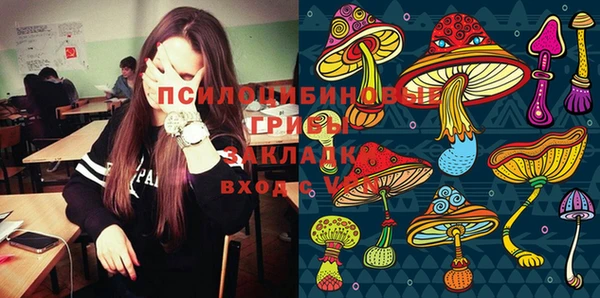 марки lsd Гусь-Хрустальный