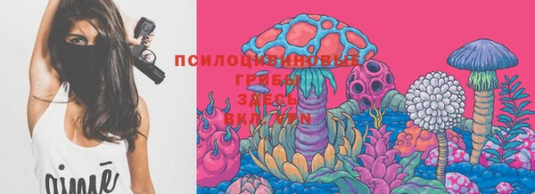 каннабис Гусев