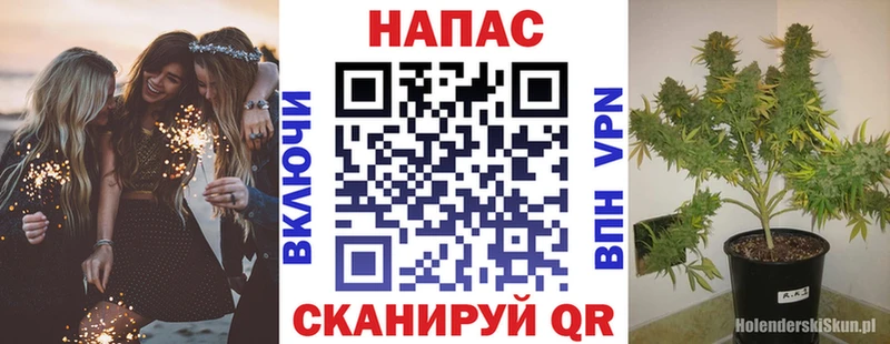 Шишки марихуана ГИДРОПОН  Купить  Курчатов 